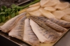 Fischprojekt Kö 21